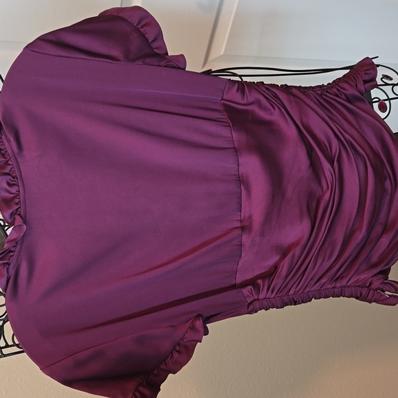 Antonio Melani Sz Sm Silk and Spandex top in Burgundy - Picture 7 of 7